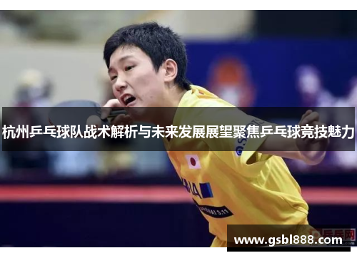 杭州乒乓球队战术解析与未来发展展望聚焦乒乓球竞技魅力