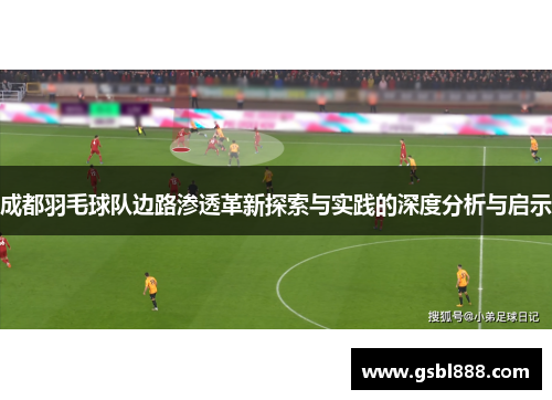 成都羽毛球队边路渗透革新探索与实践的深度分析与启示
